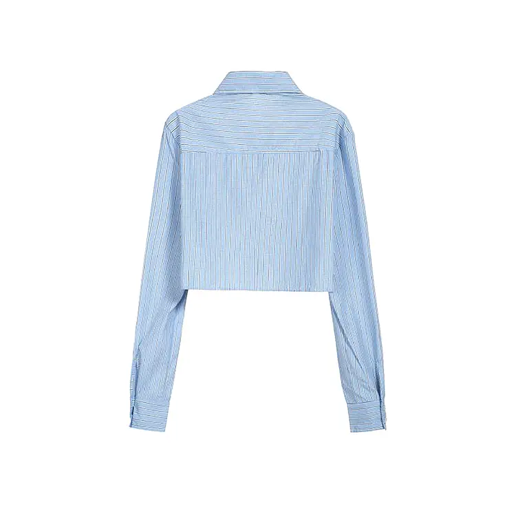 Blue Stripe Crop Shirt