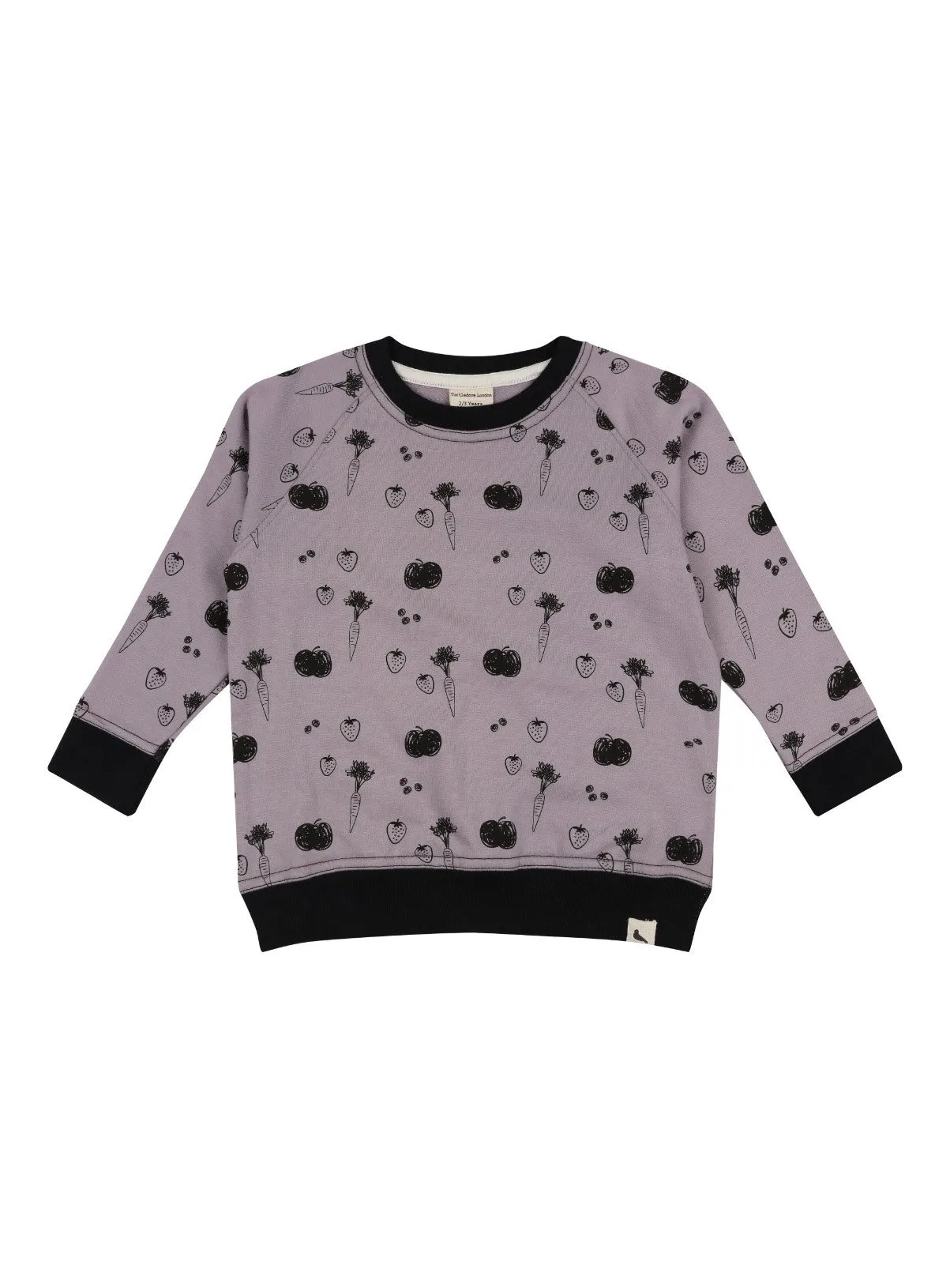 Buy TURTLEDOVE LONDON Fruity Sweatshirt 0-6 Month | Jumpers and hoodies | Tu